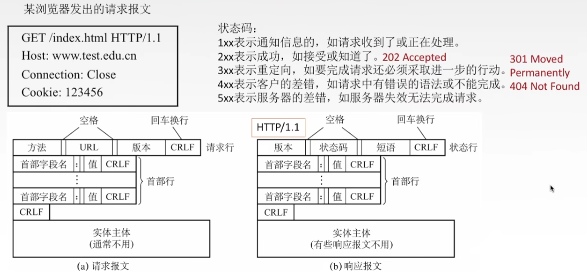 计算机网络知识汇总（十万字超详细）